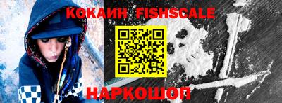 гашик Камышлов