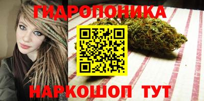 гашик Камышлов