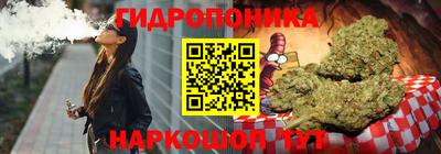 гашик Камышлов