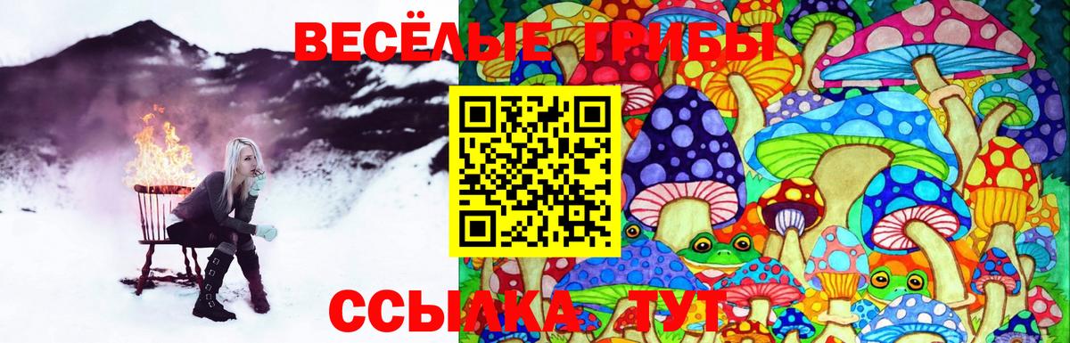 Елизово  Псилоцибиновые грибы Magic Shrooms  Вход с VPN 