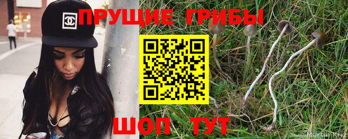 Псилоцибиновые грибы ЛСД Елизово